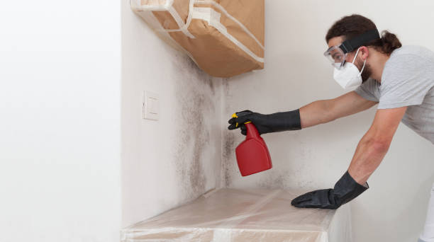 Professional Black Mold Remediation technician working in Tewksbury, MA