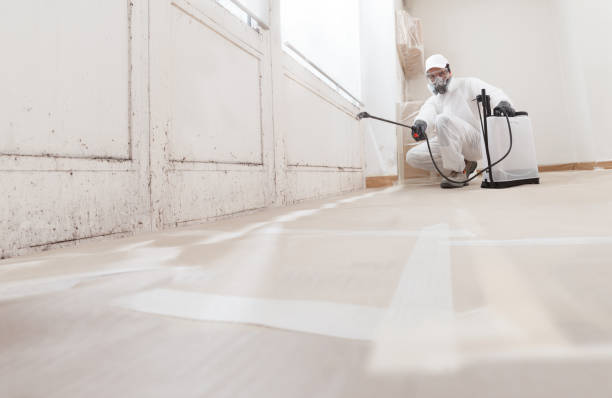 24/7 Emergency Black Mold Remediation experts in Tewksbury, MA