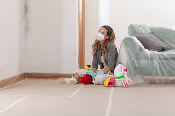 Reliable Black Mold Remediation contractor in Tewksbury, MA by Mold Remediation HQ